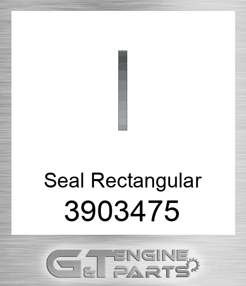 3903475 Seal Rectangular