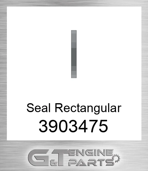 3903475 Seal Rectangular