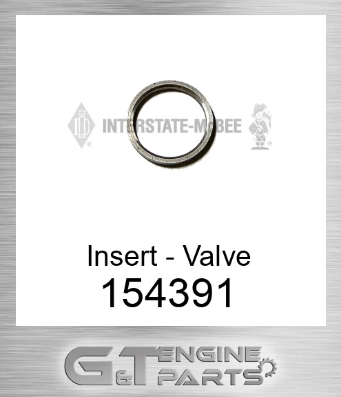154391 Insert - Valve
