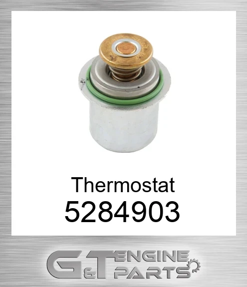 5284903 Thermostat