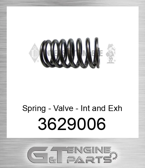 3629006 Spring - Valve - Int and Exh