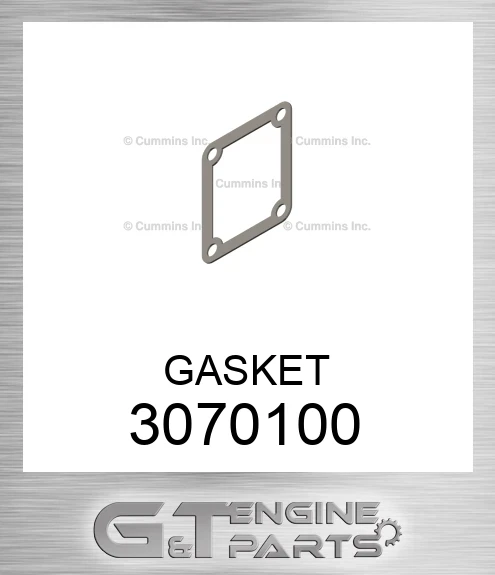 3070100 GASKET