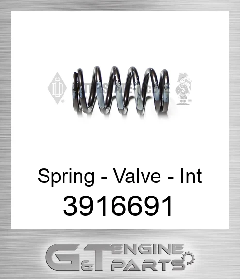 3916691 Spring - Valve - Int