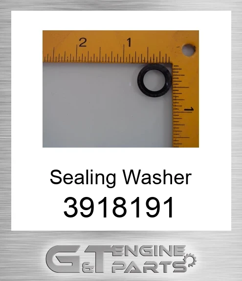 3918191 Sealing Washer