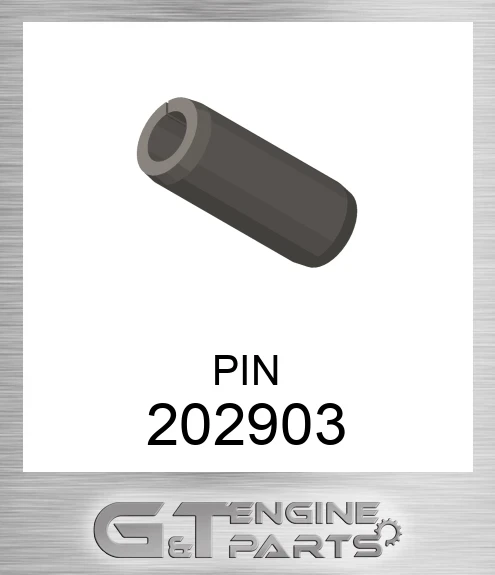 202903 PIN