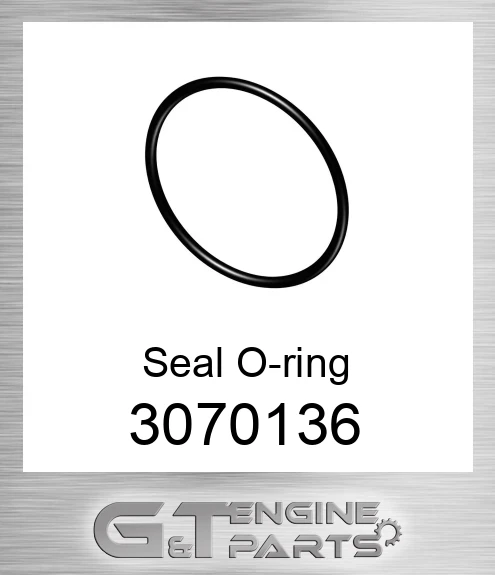 3070136 Seal O-ring