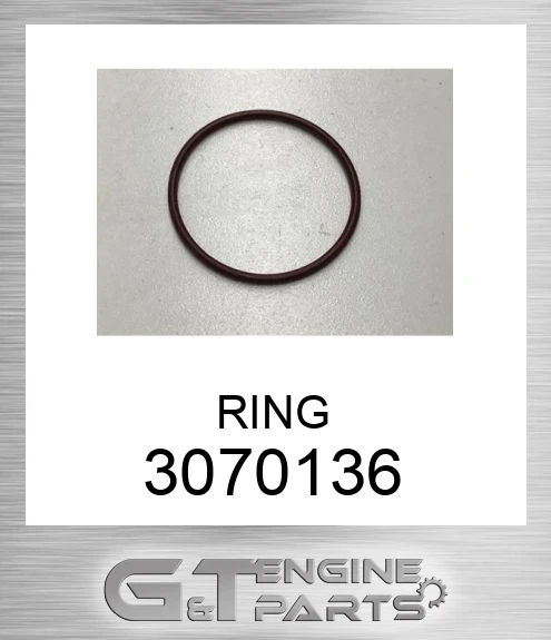 3070136 Seal O-ring