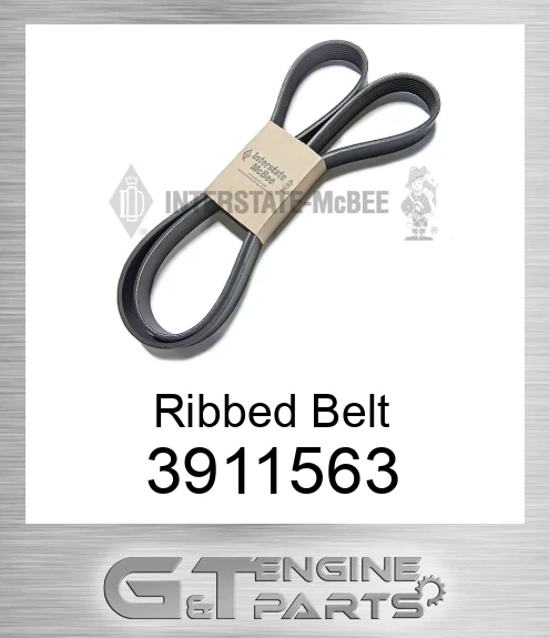 3911563 Ribbed Belt