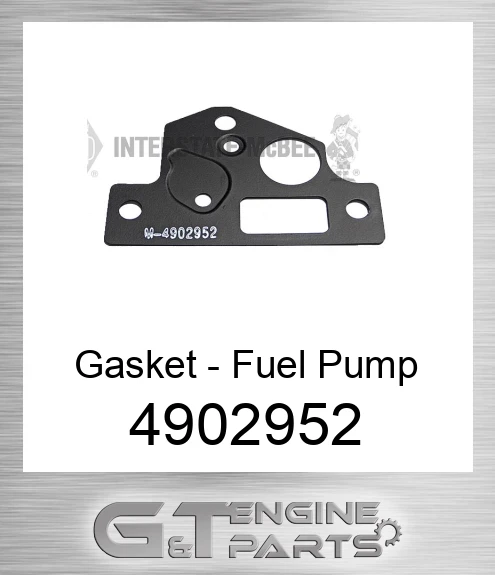 4902952 Gasket - Fuel Pump