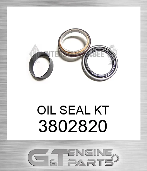 3802820 OIL SEAL KT