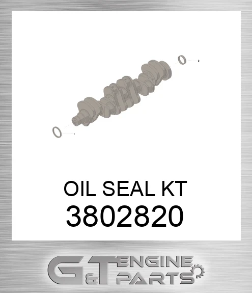 3802820 OIL SEAL KT