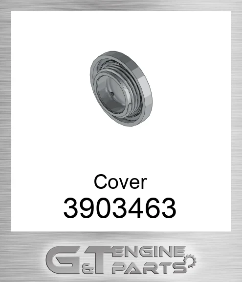 3903463 Cover