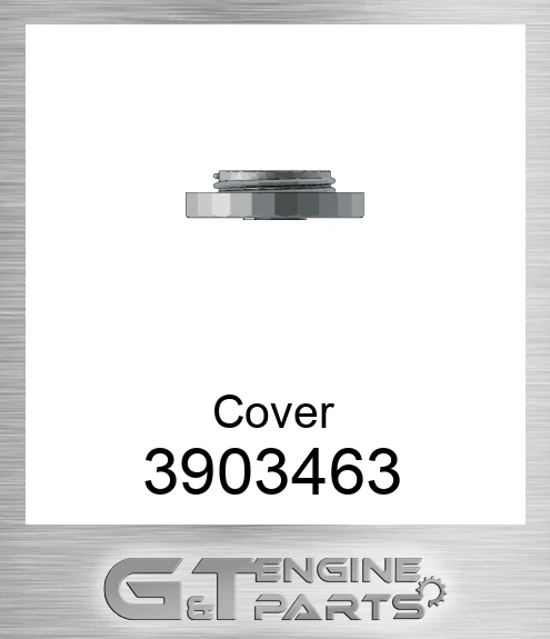 3903463 Cover