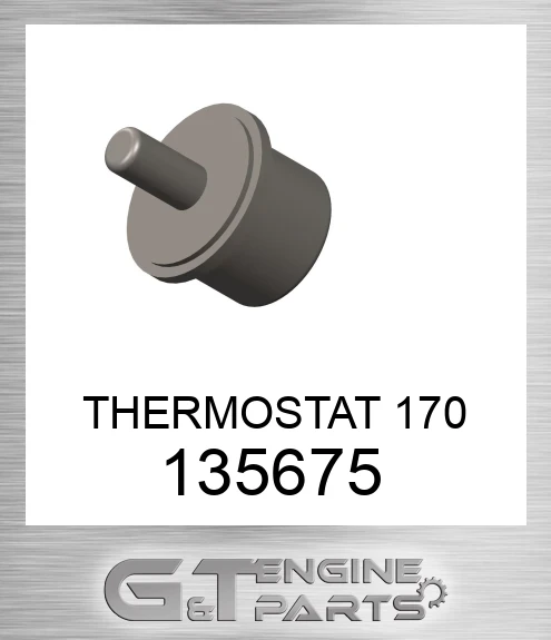 135675 THERMOSTAT 170