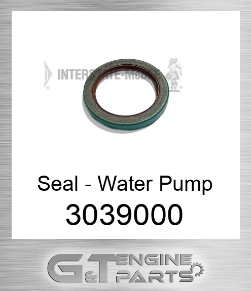 3039000 Seal - Water Pump