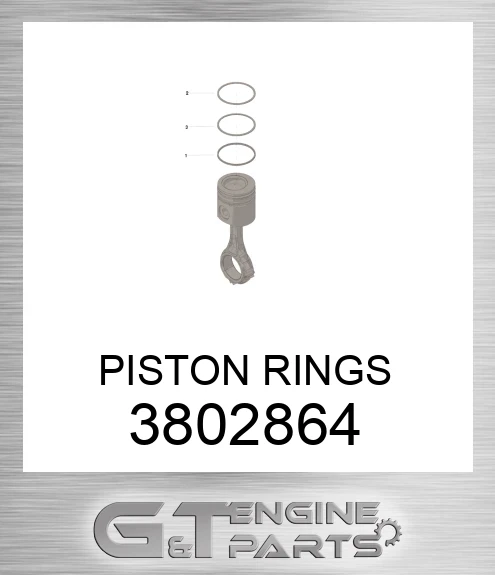 3802864 PISTON RINGS