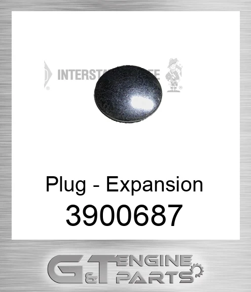 3900687 Plug - Expansion