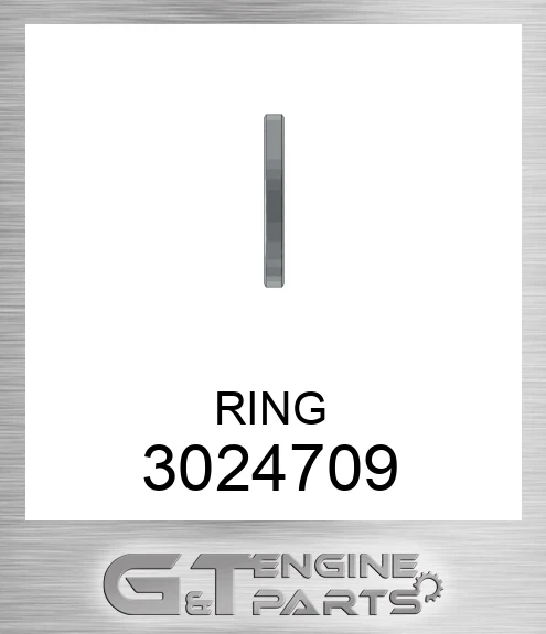 3024709 RING
