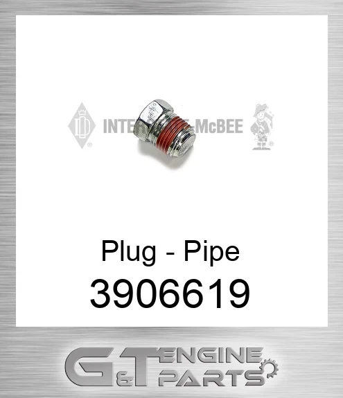 3906619 Plug - Pipe