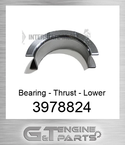 3978824 Bearing - Thrust - Lower