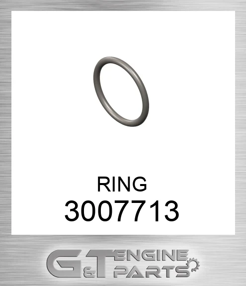 3007713 RING