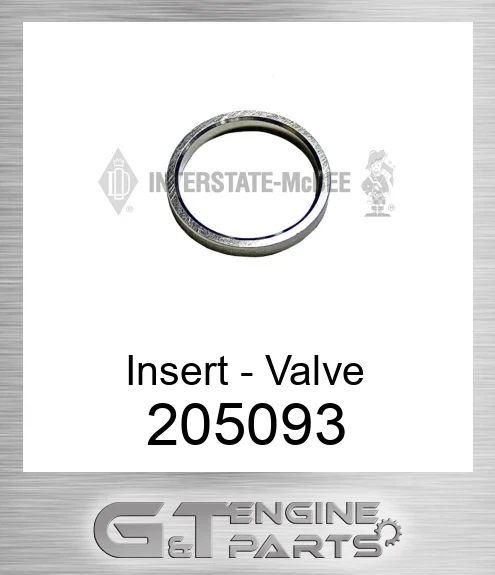 205093 Insert - Valve