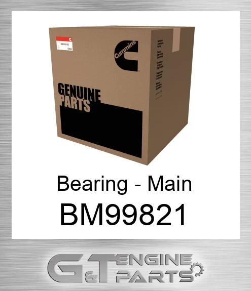 BM99821 Bearing - Main