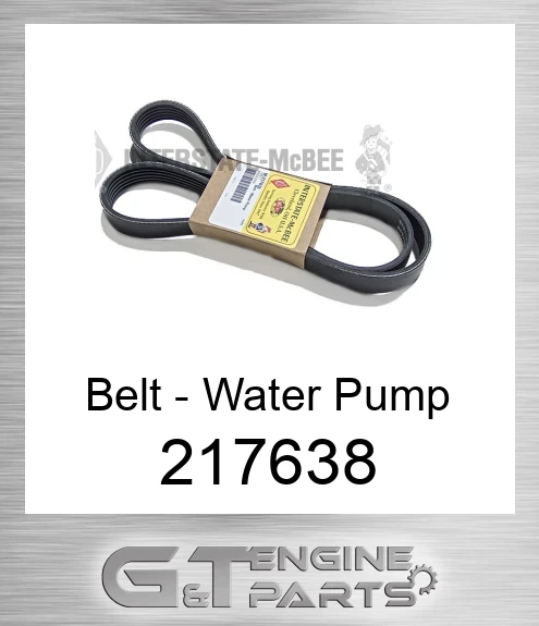 217638 Belt - Water Pump