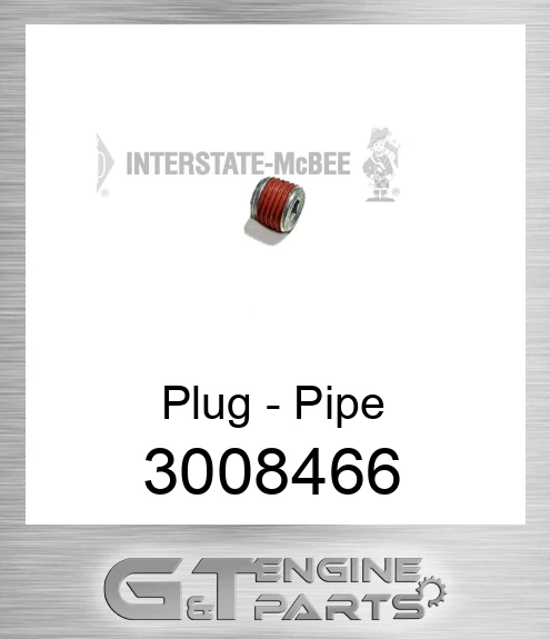 3008466 Plug - Pipe