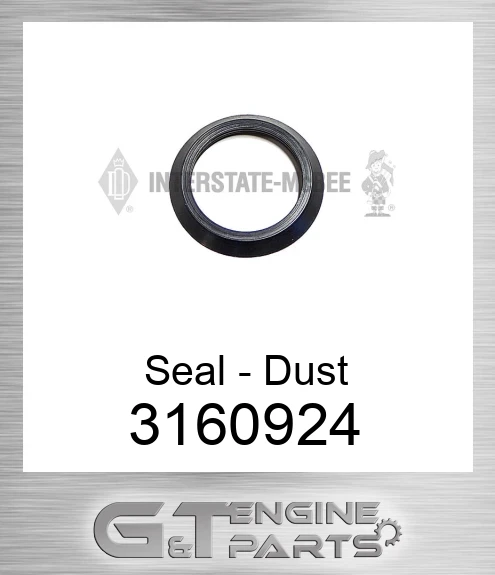 3160924 Seal - Dust