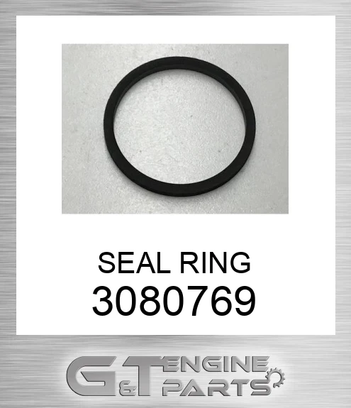 3080769 SEAL RING