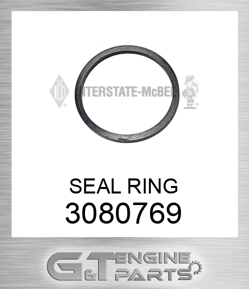 3080769 SEAL RING