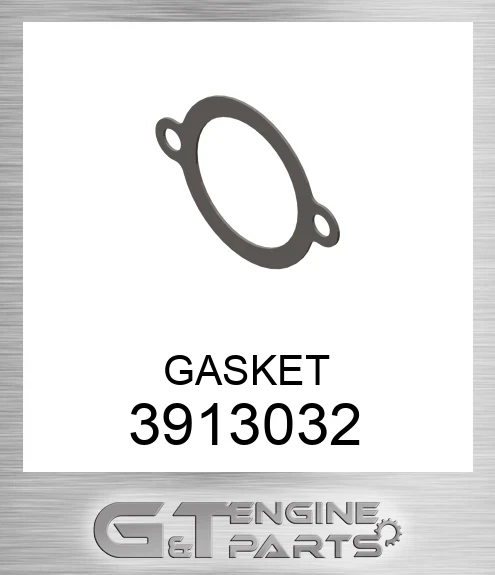 3913032 GASKET