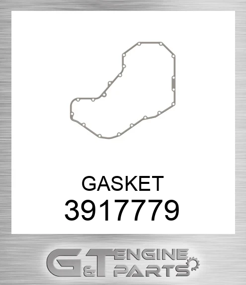 3917779 GASKET