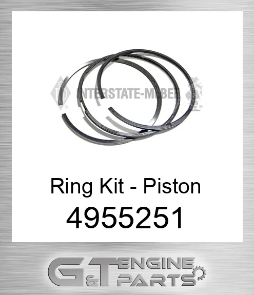 4955251 Piston Ring Kit