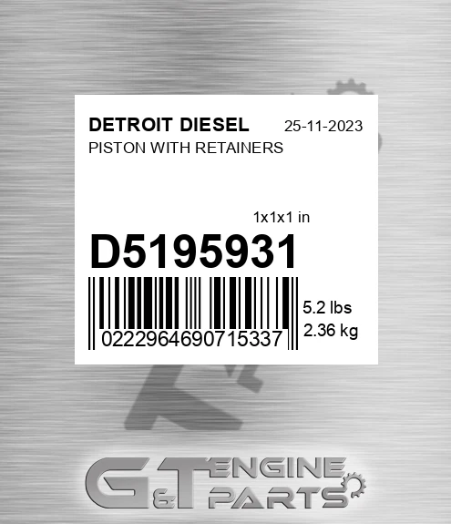 D5195931 PISTON WITH RETAINERS