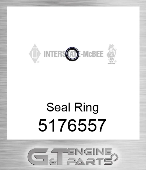 5176557 Seal Ring
