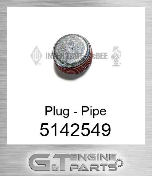 5142549 Plug - Pipe