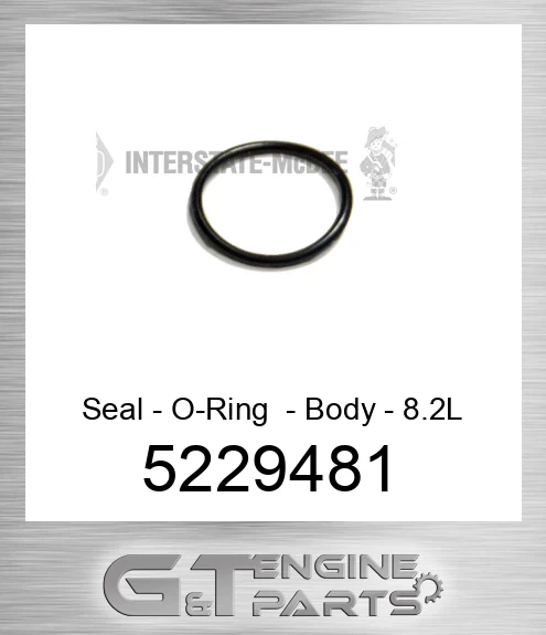 5229481 Seal - O-Ring - Body - 8.2L