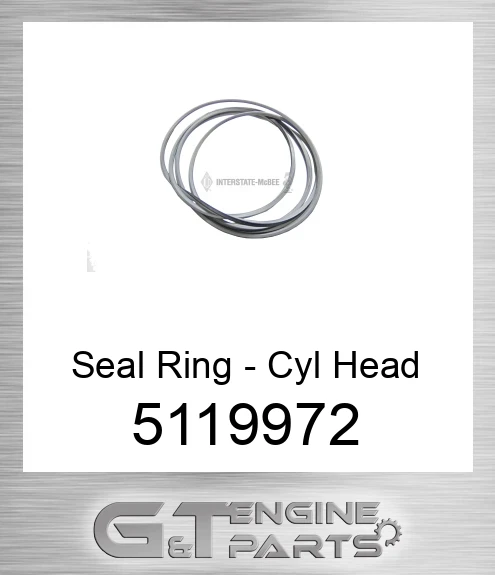 5119972 Seal Ring - Cyl Head