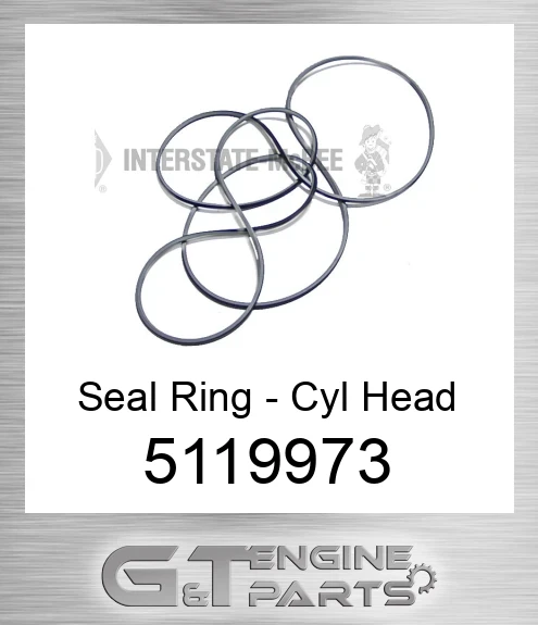 5119973 Seal Ring - Cyl Head