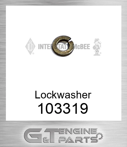 103319 Lockwasher