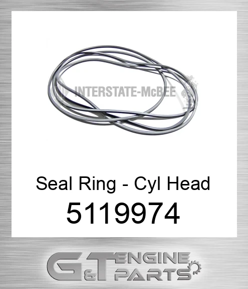 5119974 Seal Ring - Cyl Head