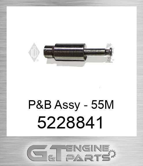 5228841 P&B Assy - 55M