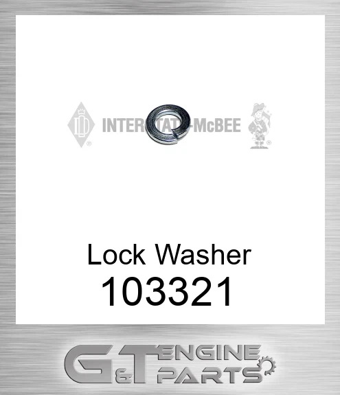 103321 Lock Washer