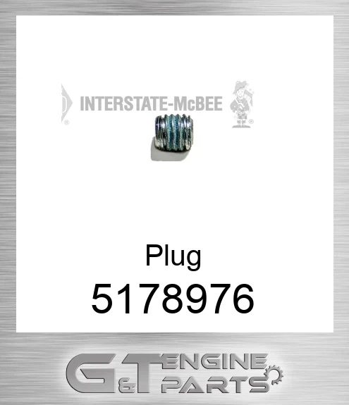 5178976 Plug