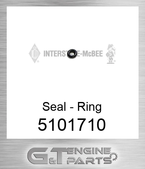 5101710 Seal - Ring