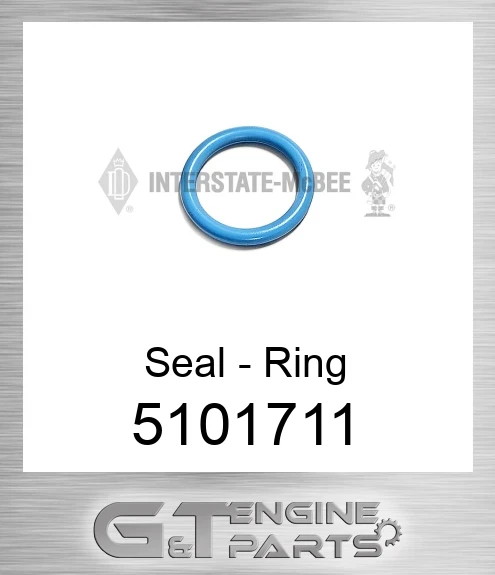 5101711 Seal - Ring
