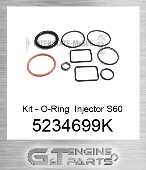 5234699K Kit - O-Ring Injector S60
