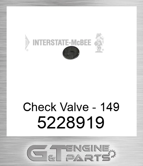 5228919 Check Valve - 149